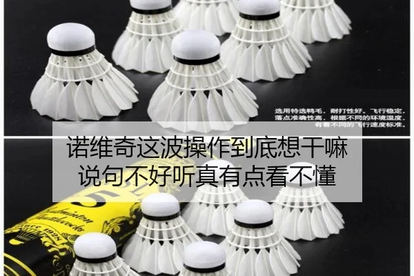 诺维奇这波操作到底想干嘛 说句不好听真有点看不懂 | kaiyun