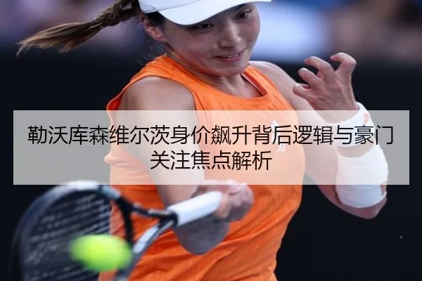 勒沃库森维尔茨身价飙升背后逻辑与豪门关注焦点解析