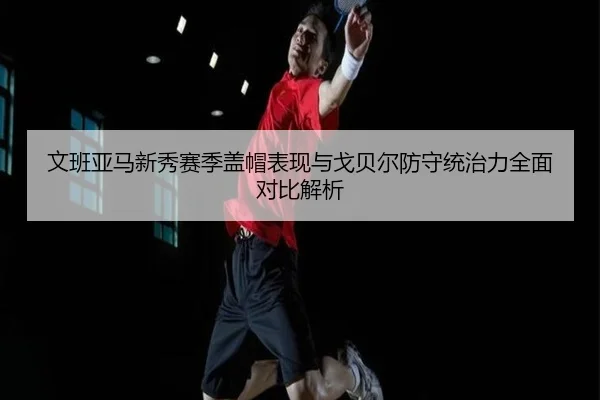 文班亚马新秀赛季盖帽表现与戈贝尔防守统治力全面对比解析