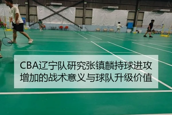 CBA辽宁队研究张镇麟持球进攻增加的战术意义与球队升级价值 | kaiyun